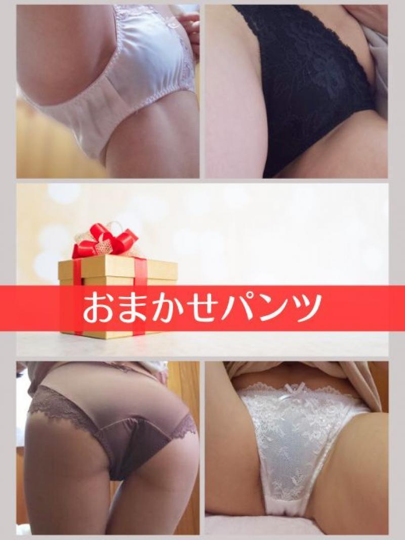 出品者名-写真-1